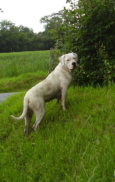 Publication : Des syltoken