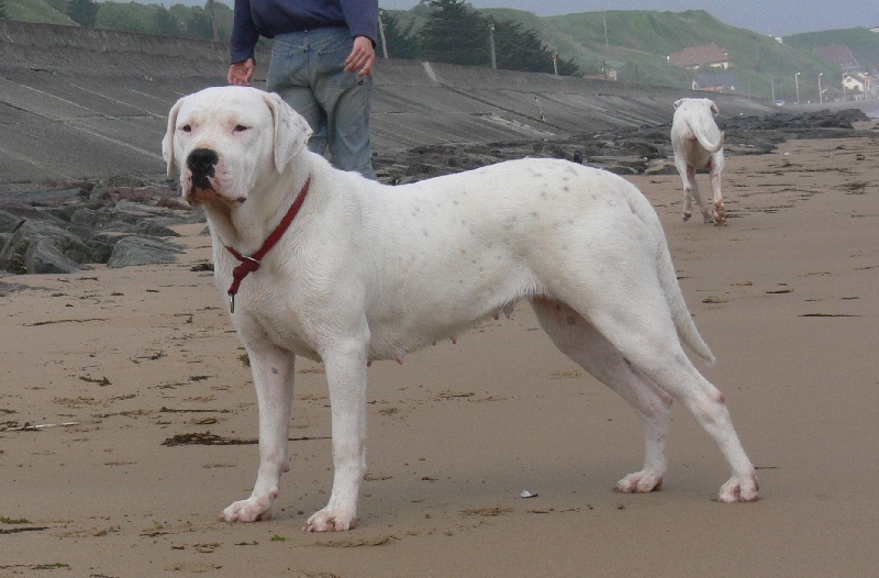 Publication : Des syltoken