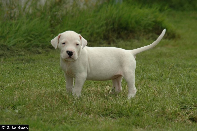 Publication : Des syltoken