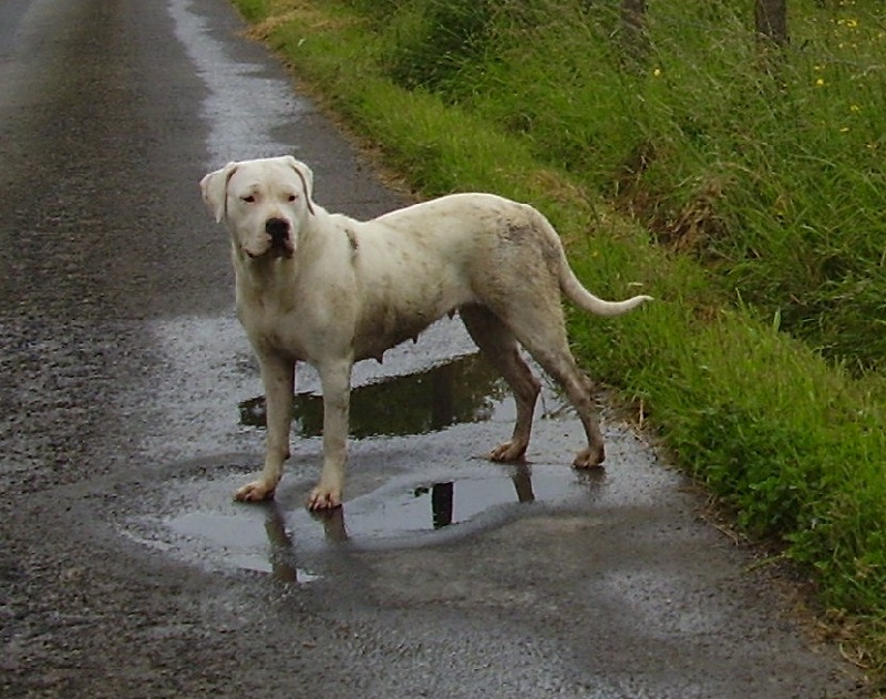 Publication : Des syltoken