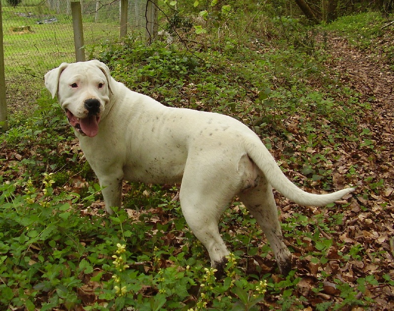 Publication : Des syltoken