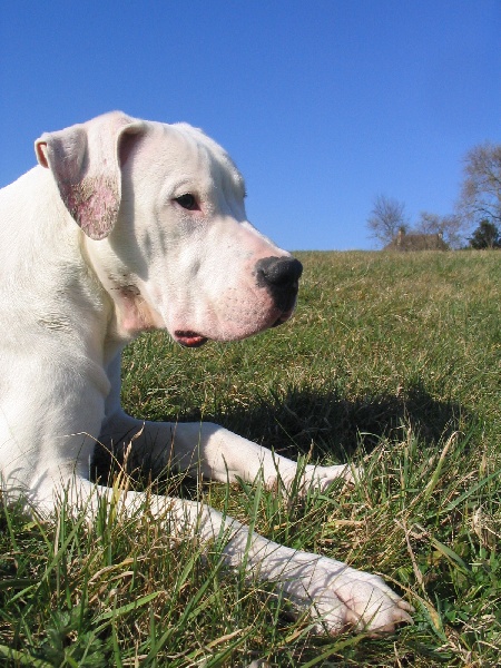 Publication : Des syltoken