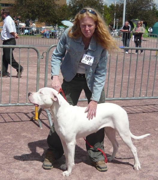 Publication : Des syltoken