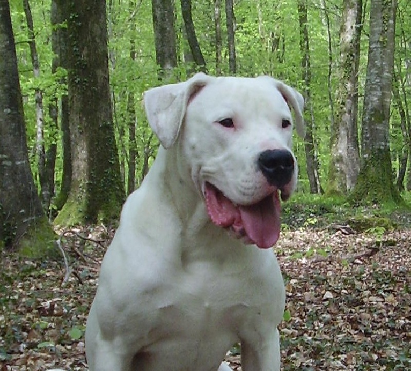 Publication : Des syltoken