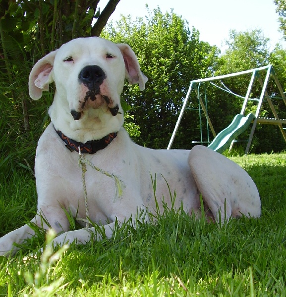 Publication : Des syltoken