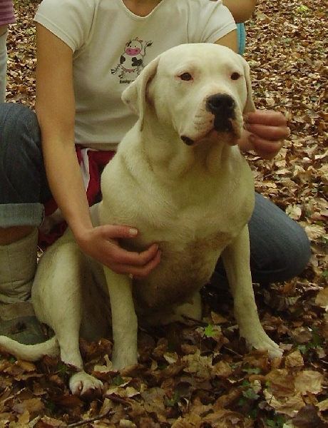 Publication : Des syltoken