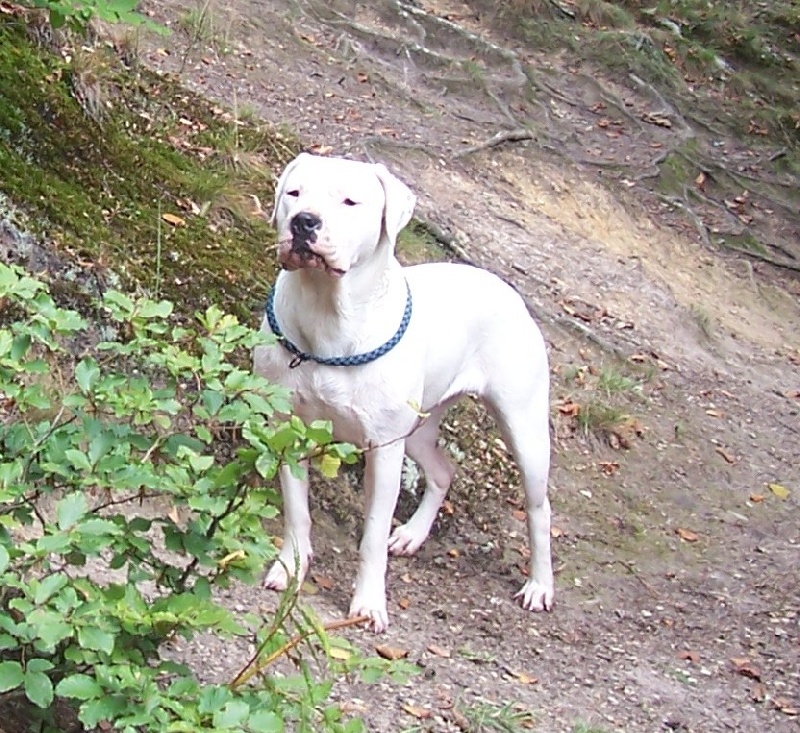 Publication : Des syltoken