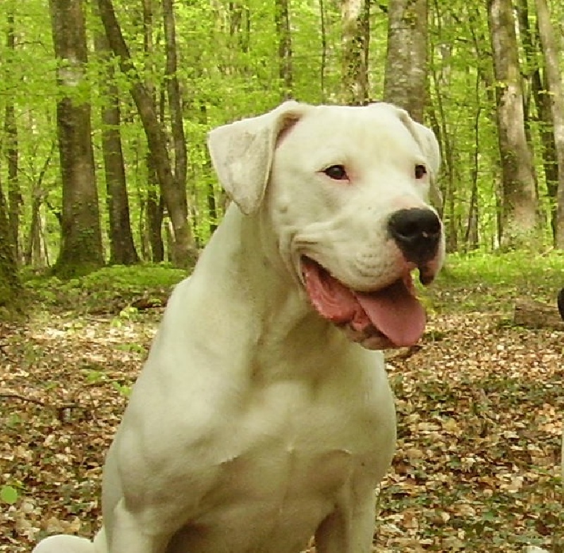 Publication : Des syltoken