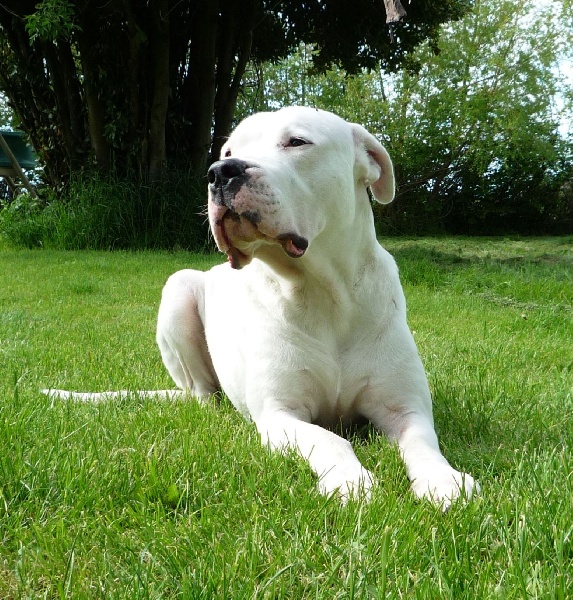 Publication : Des syltoken