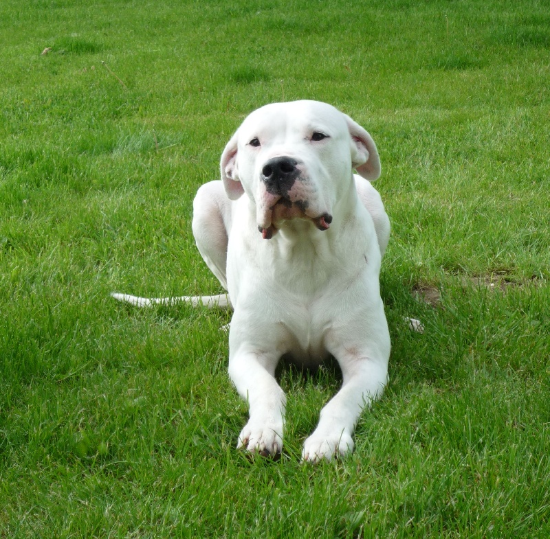 Publication : Des syltoken