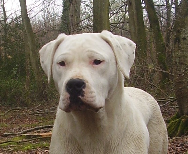 Publication : Des syltoken