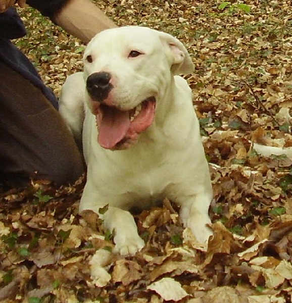 Publication : Des syltoken