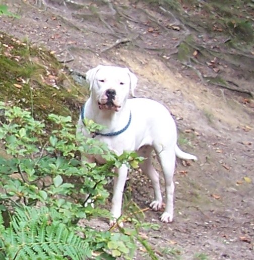 Publication : Des syltoken