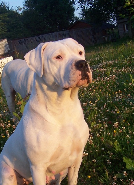 Publication : Des syltoken