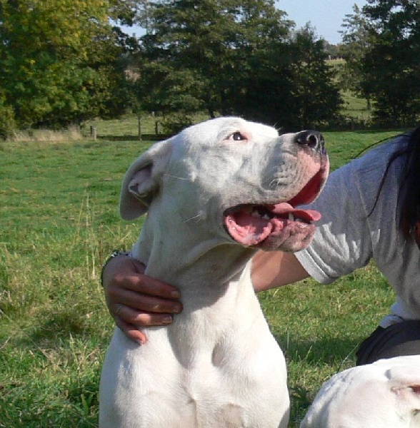 Publication : Des syltoken