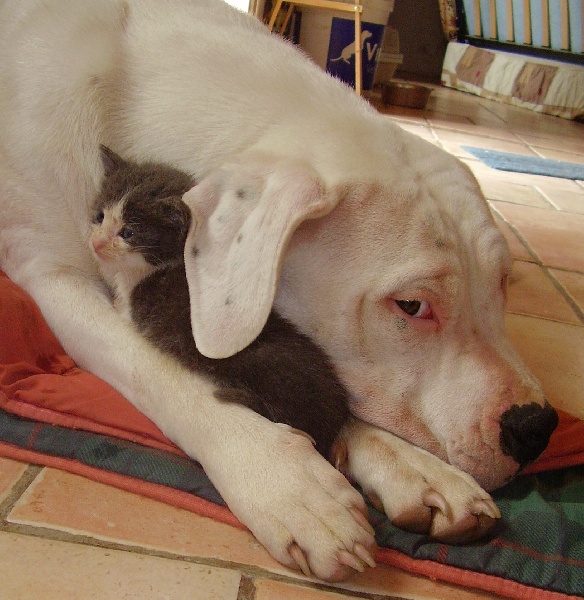 Publication : Des syltoken