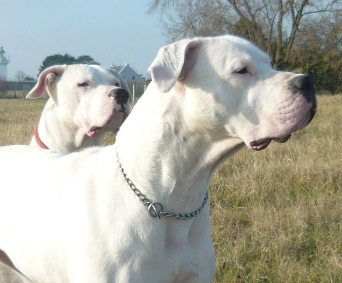 Publication : Des syltoken