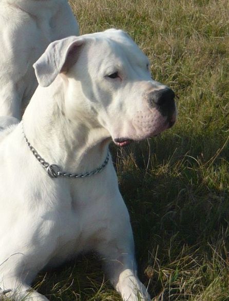 Publication : Des syltoken