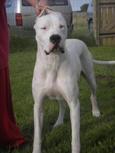 Publication : Des syltoken