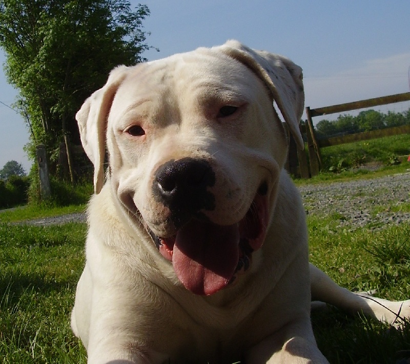 Publication : Des syltoken