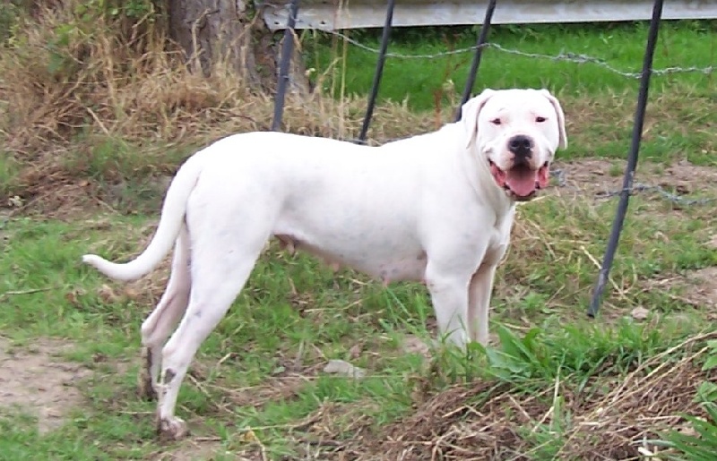 Publication : Des syltoken