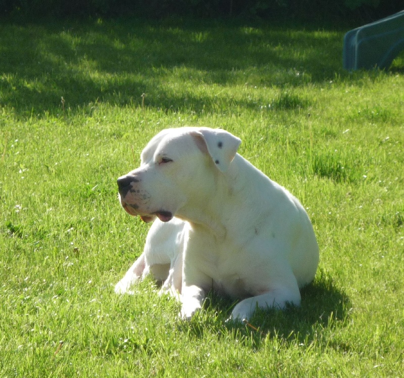 Publication : Des syltoken