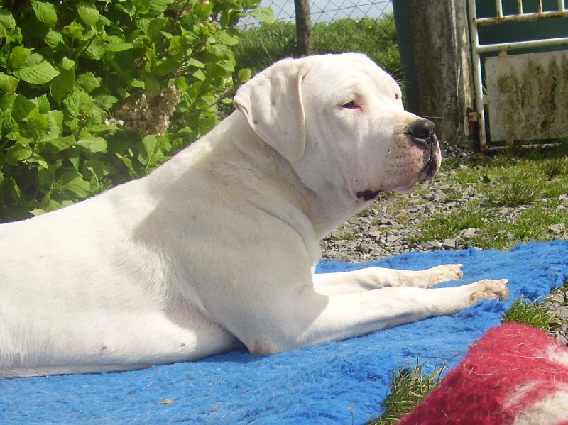 Publication : Des syltoken