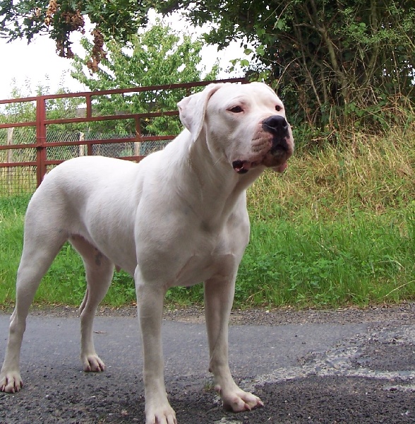 Publication : Des syltoken