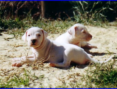 Publication : Des syltoken