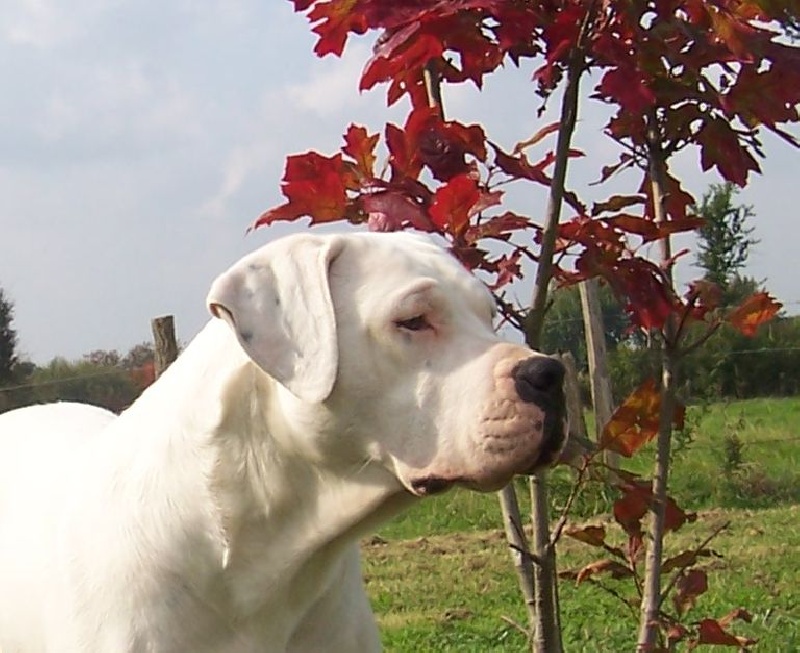 Publication : Des syltoken