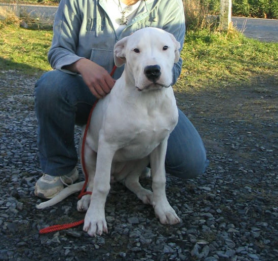 Publication : Des syltoken