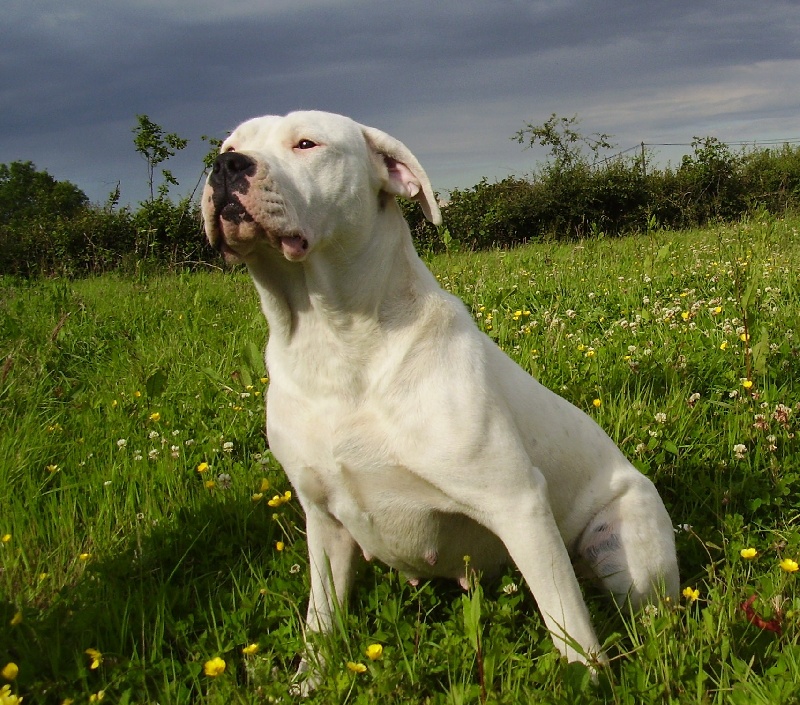 Publication : Des syltoken