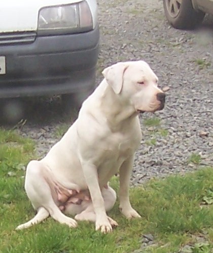 Publication : Des syltoken