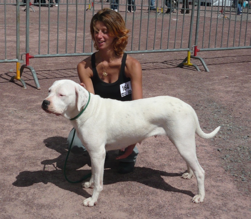 Publication : Des syltoken