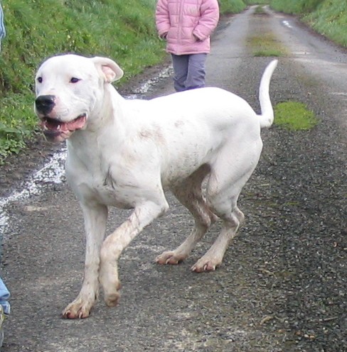 Publication : Des syltoken