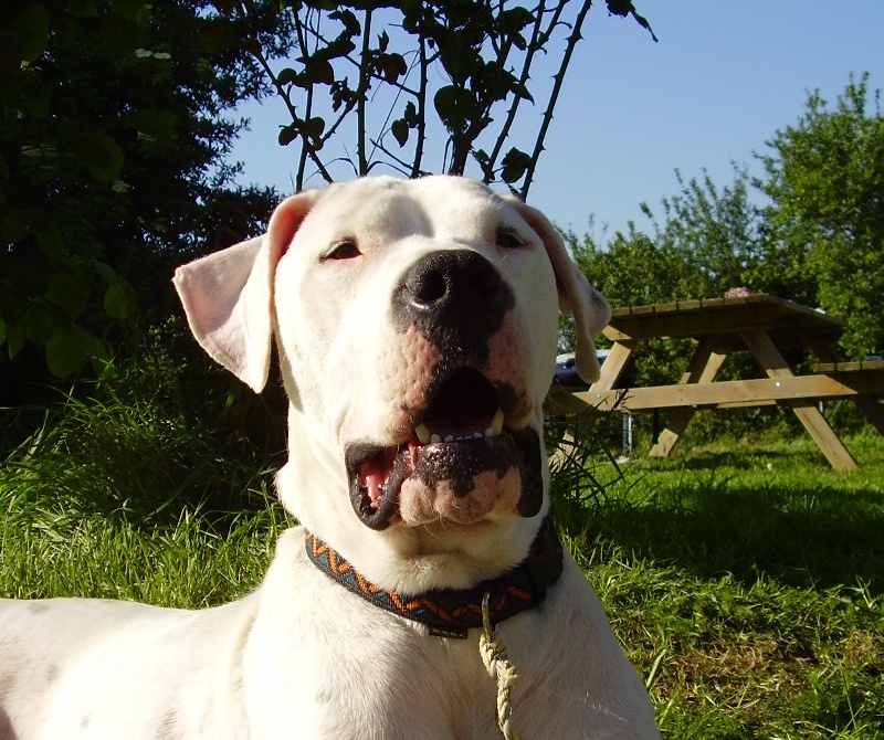 Publication : Des syltoken