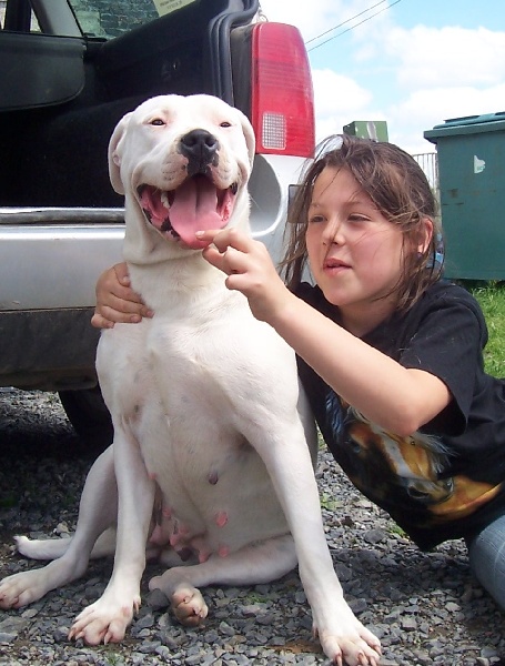 Publication : Des syltoken