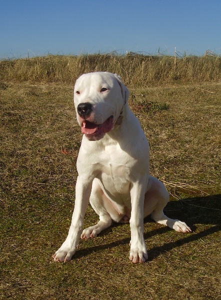 Publication : Des syltoken