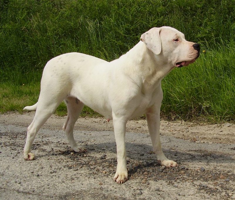 Publication : Des syltoken