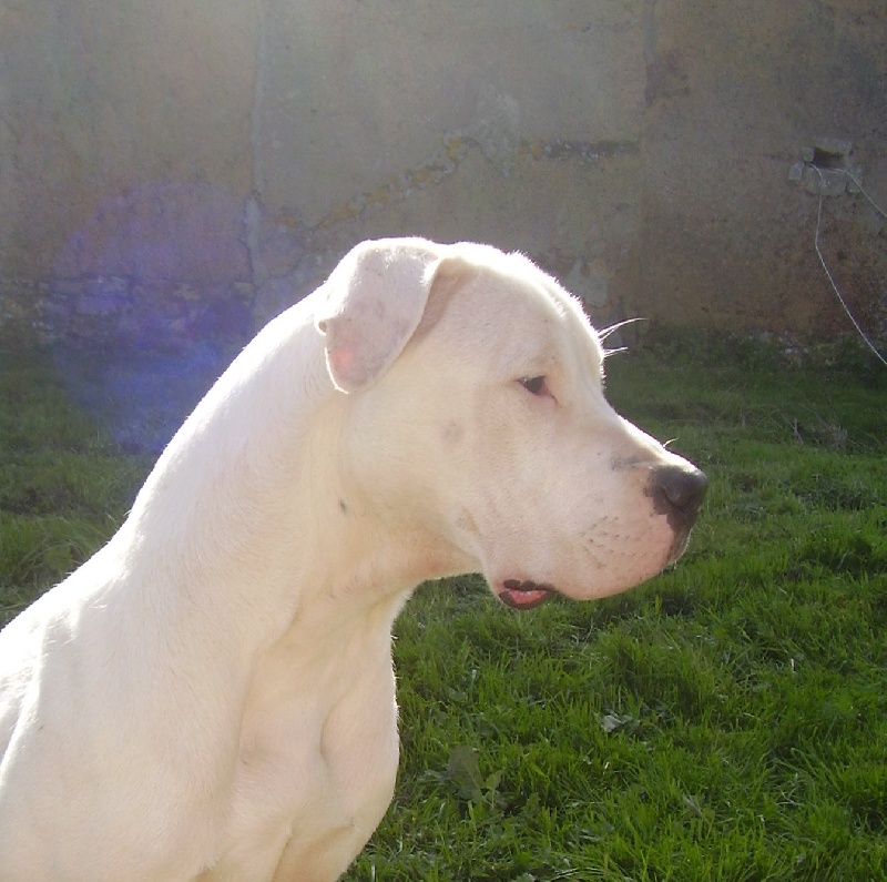 Publication : Des syltoken