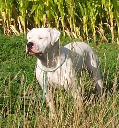 Publication : Des syltoken