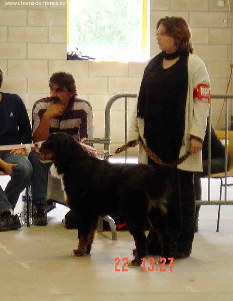 Urwen Du sanctuaire des loups - Excellent