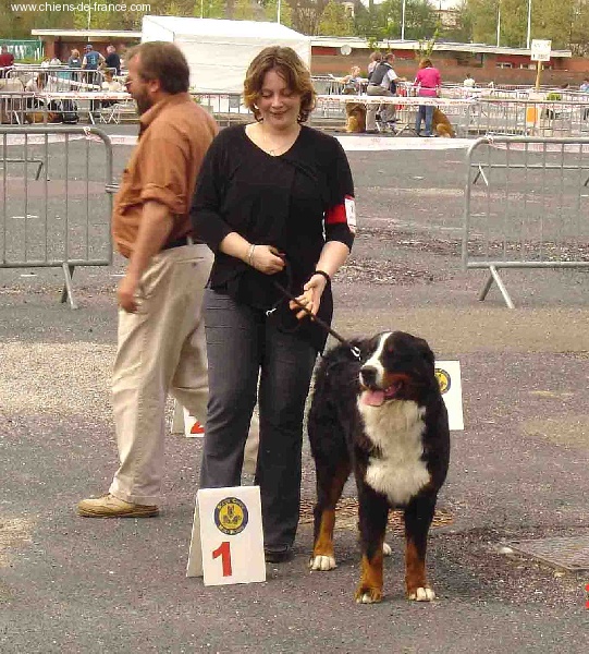 Urwen Du sanctuaire des loups - 1er EXCELLENT