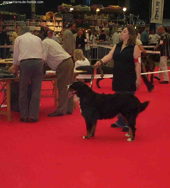 Urwen Du sanctuaire des loups - 4e Très bon