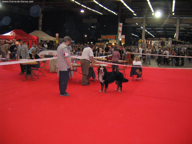 Ussar Du sanctuaire des loups - 1 er Excellent