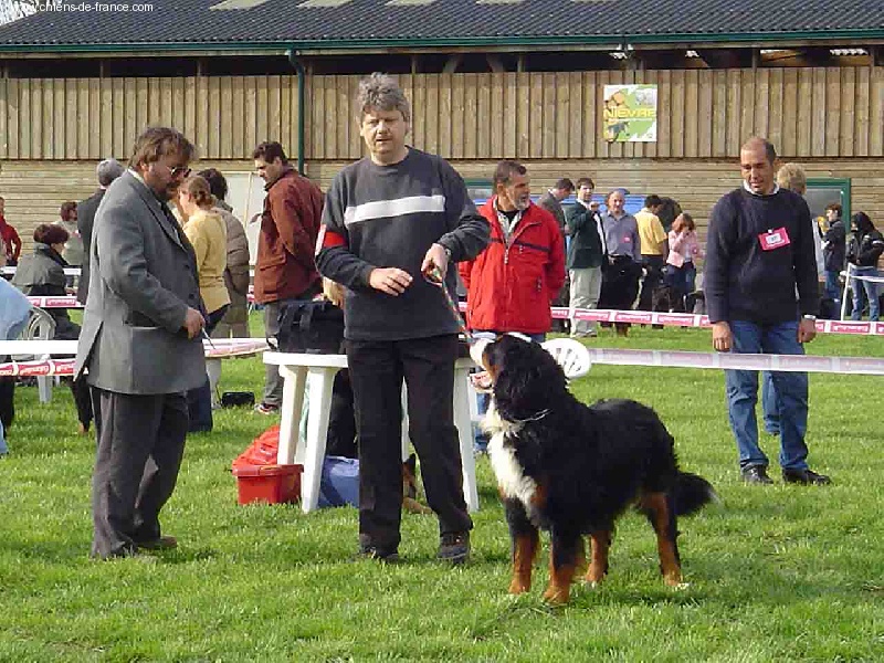Ussar Du sanctuaire des loups - Nationale