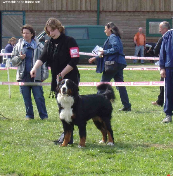 Urwen Du sanctuaire des loups - Nationale