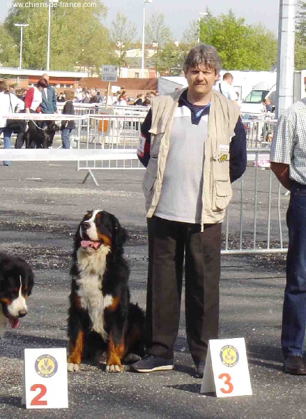 Ussar Du sanctuaire des loups - 3 E EXCELLENT