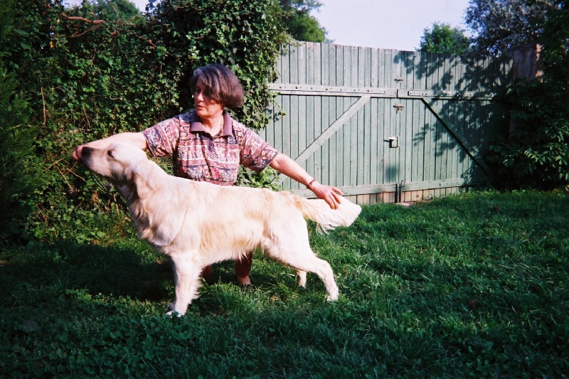 Publication : de la Lande D'Argos