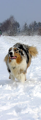 Publication : La tribu du vent Auteur : Maratrat Isabelle